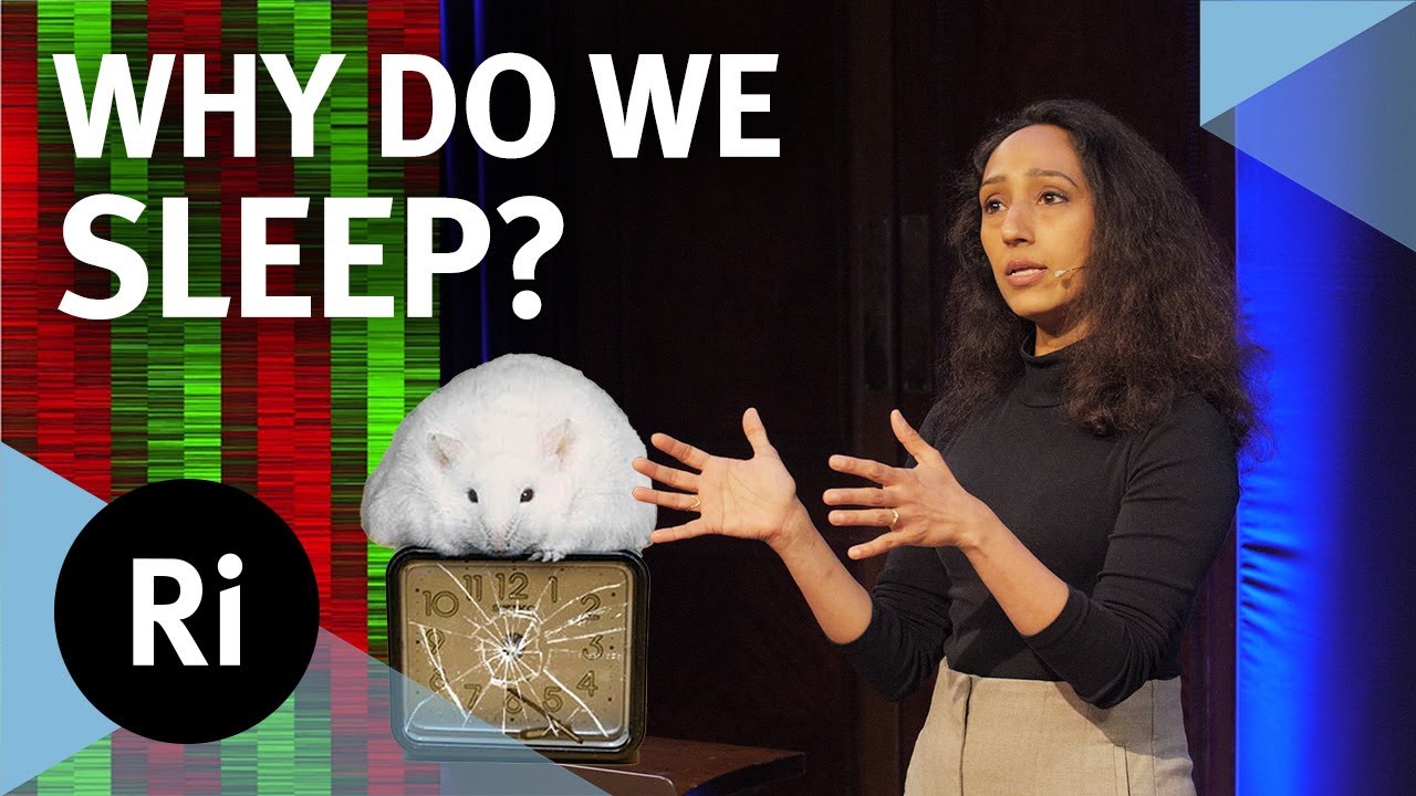 How does your body clock work? - with Aarti Jagannath