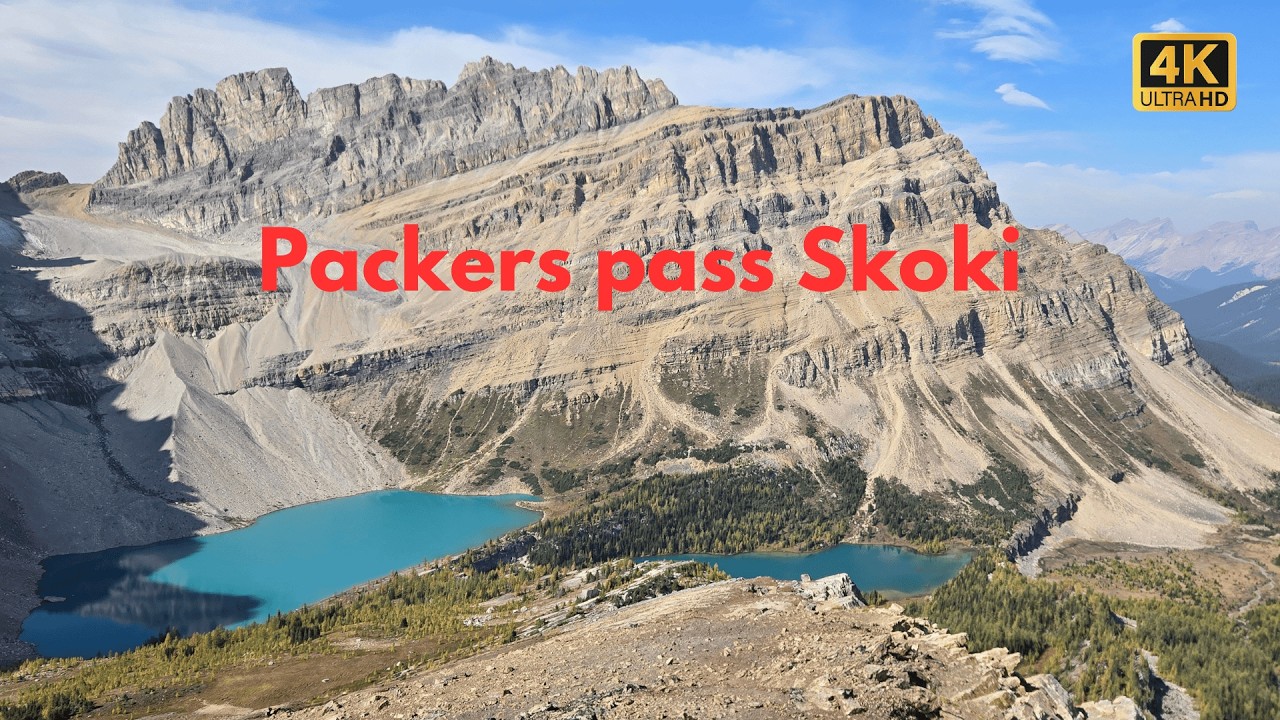 Packers pass Skoki