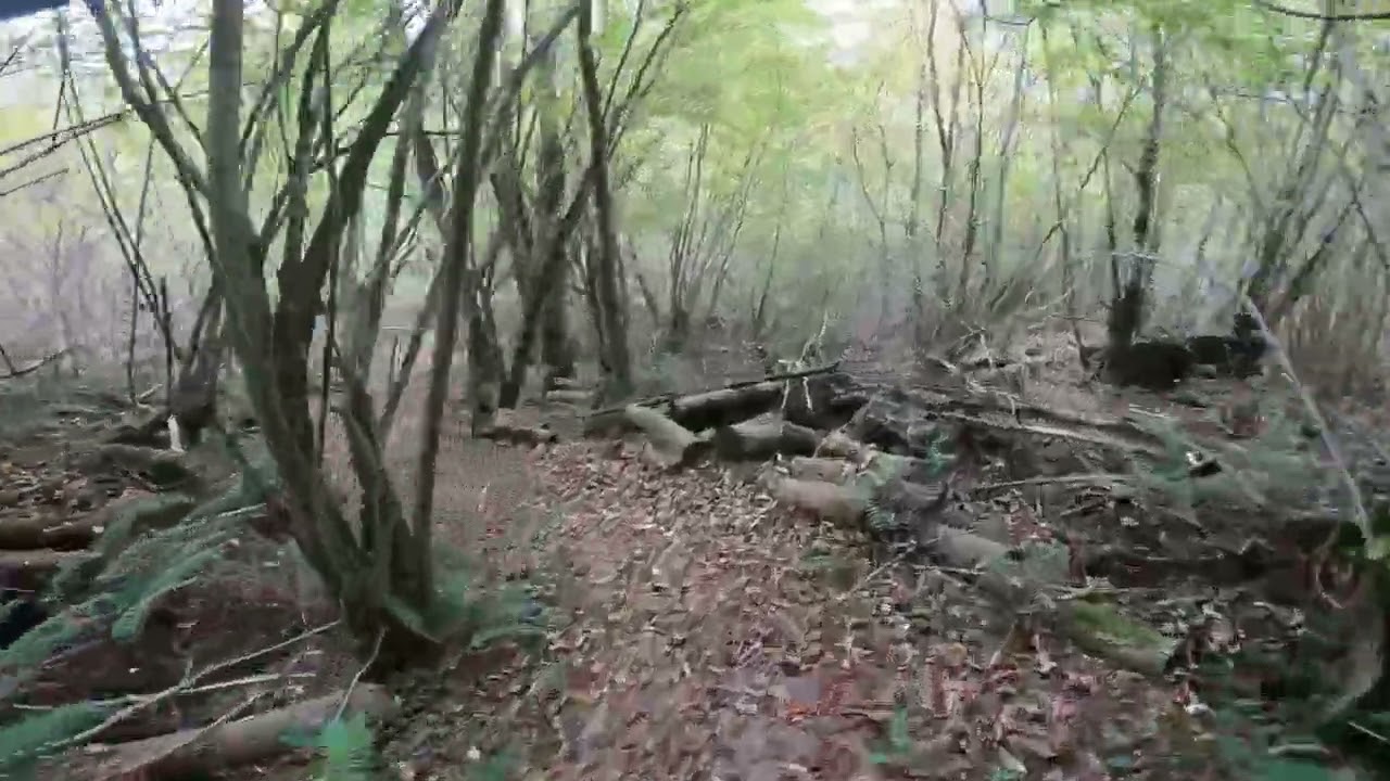 Arbas VTT 11 nov 2024