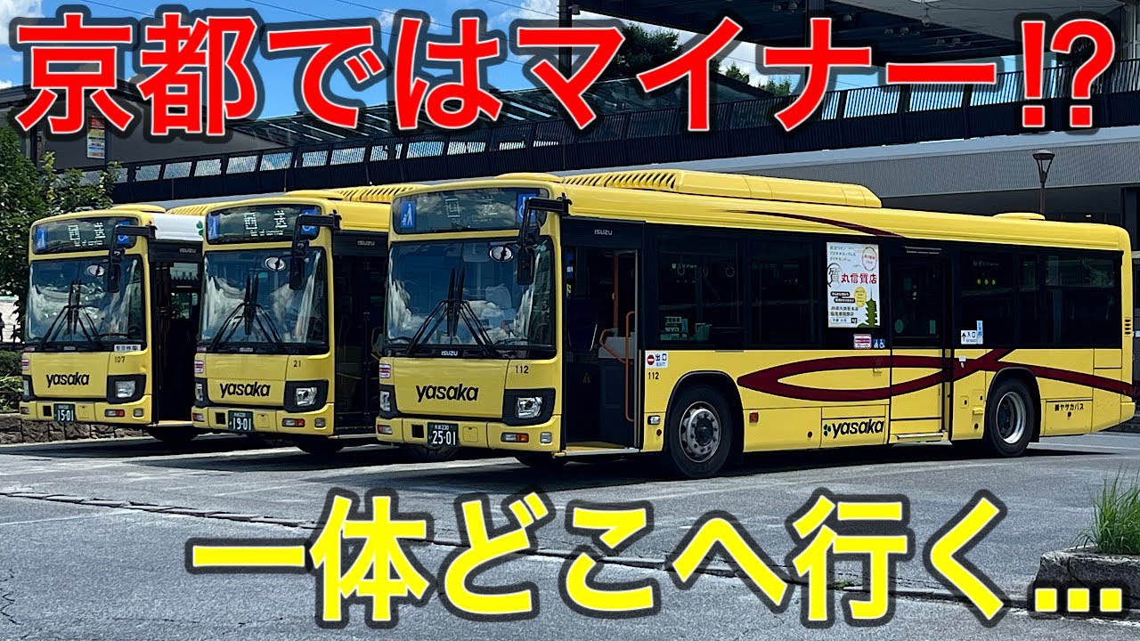 【需要は⁉︎】京都洛西を走る