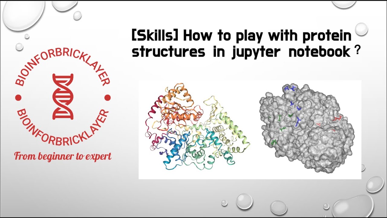 【Bioinformatics｜Skills 05】How to play with protein 3D structures in Jupyter Notebook?