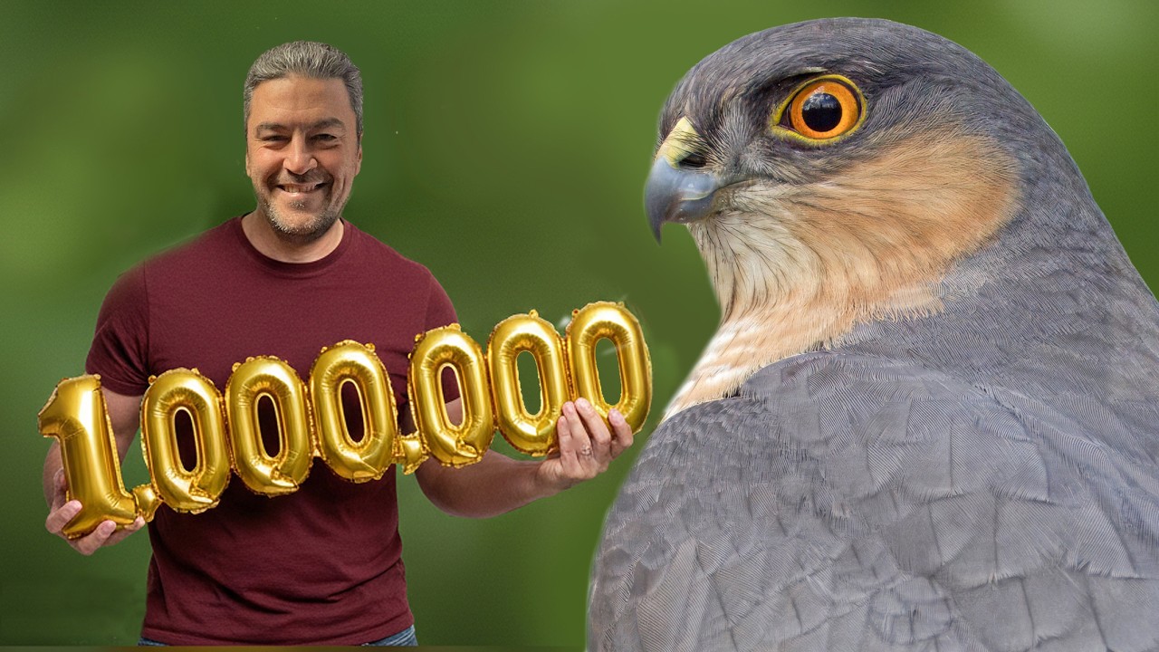 My Channel Hits A Million Views. An Hour Of Honesty: How I Grew, And Staying Authentic.