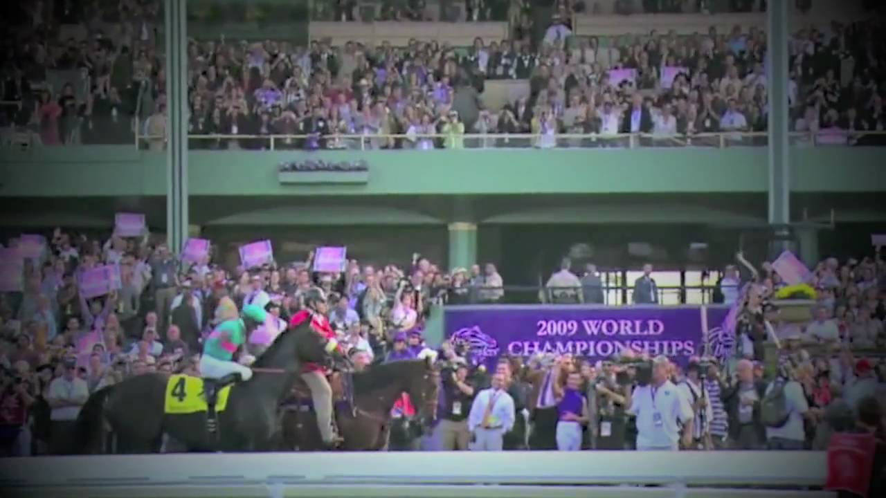 Zenyatta the Queen - Film by Thomas Allen Pauly