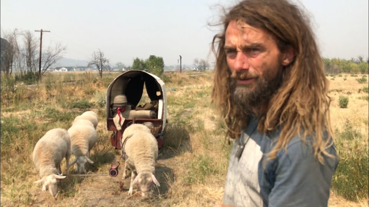 Dairy “herder-gatherer”