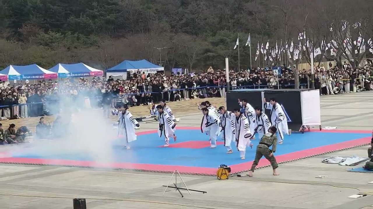 삼일절 독립기념관 육군태권도시범단 세븐틴 (구독과 좋아요 눌러주세요)