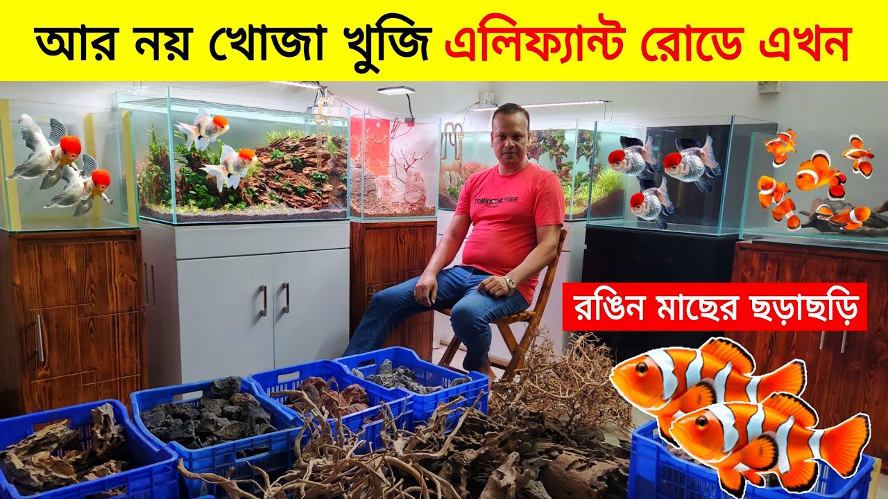 Aquarium Price In Bangladesh 2024🐠Aquarium Fish Price In Bangladesh🐠Aquarium all Accessories Price