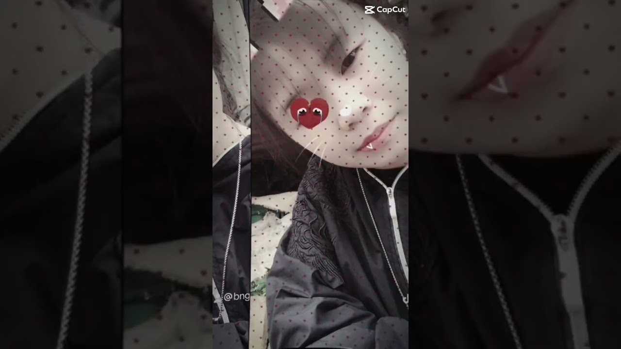 tổng hợp các clip tiktok 