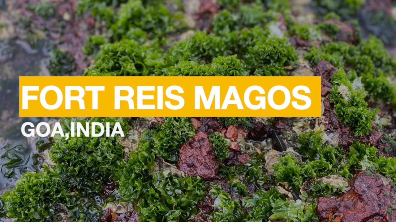 Fort Reis Magos - Goa India.