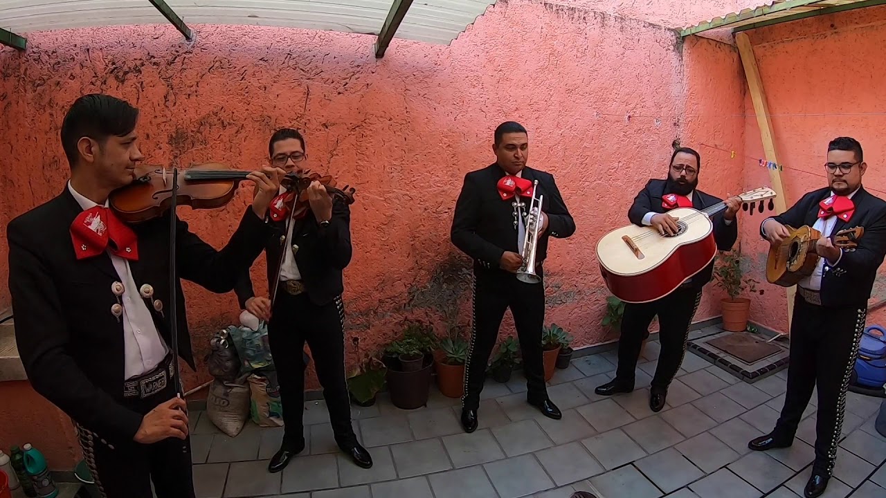Caminos de Guanajuato / Mariachi Tradición Tapatía