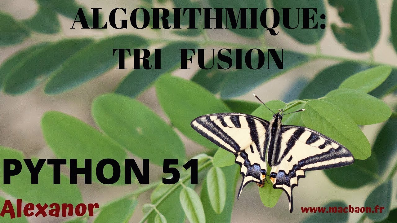 Programmation Python #51 - algorithmique : tri fusion ( récursivité et dichotomie ) 2ième version