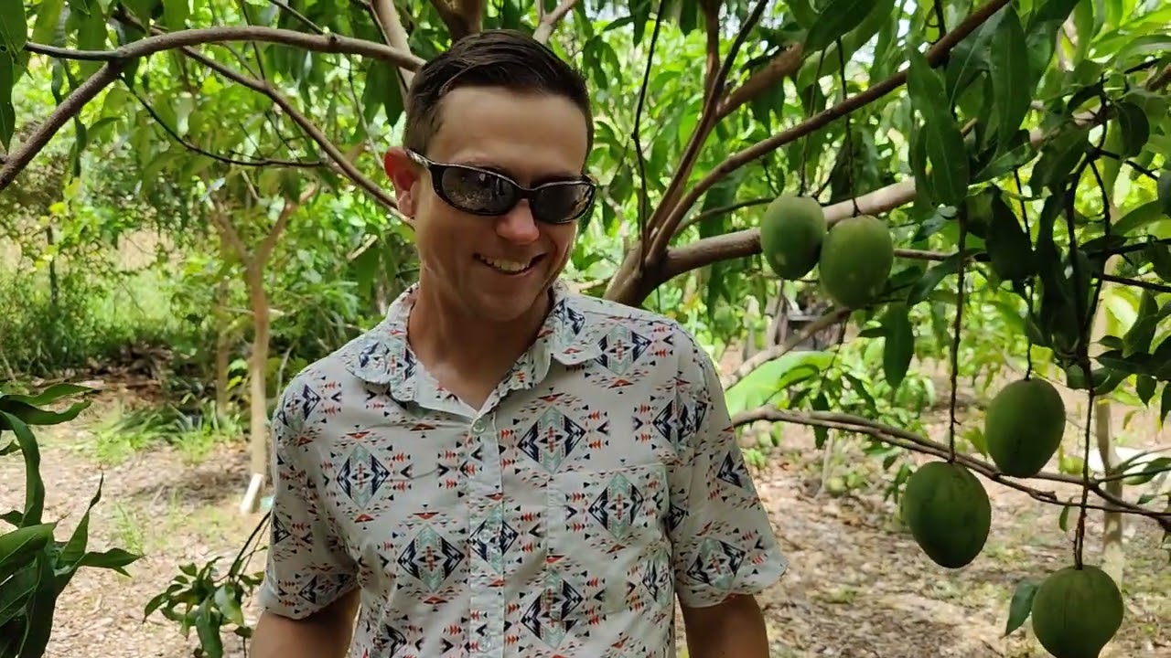 He's found a way to Grow 🥭Mango tree's 🌳, north ⬆️ of Florida 😲