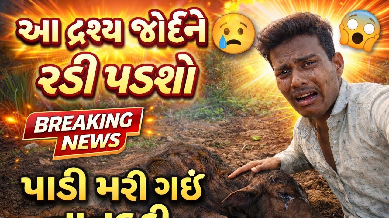 Aa Drashya Joi Ne Radi Padsho 😭 | Mari Padi Mari Gai 💔 | Dukhbharo Divas