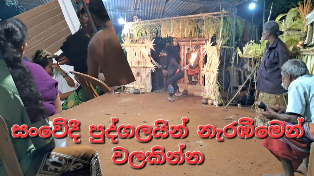 මහසෝන් නැටීම🔥| Mahason Natima🔥| ගාල්ලේ ඉරේෂ් මහතා❤️| #srilankanculture #subscribe #viralvideo #viral