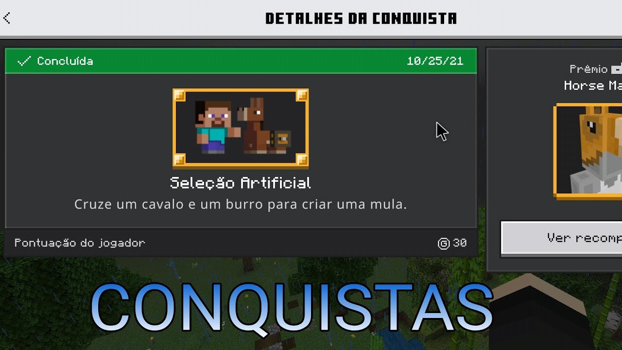 COMO FAZER A CONQUISTA 