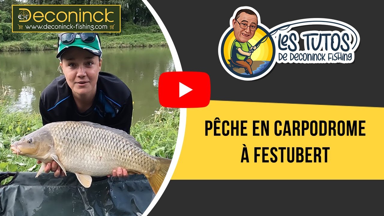 Pêche en carpodrome à Festubert