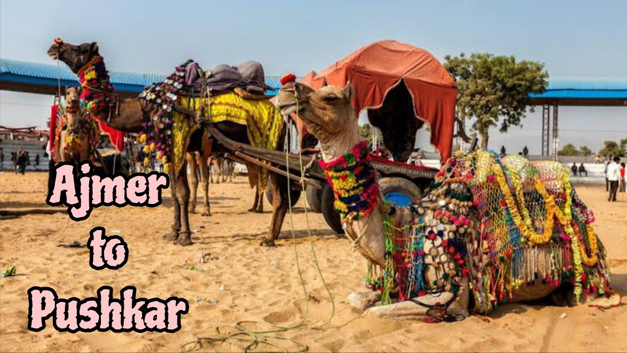 Ajmer se pushkar tak ka safar ❤️ vlog 4 #minivlog #comedy #travelblog 