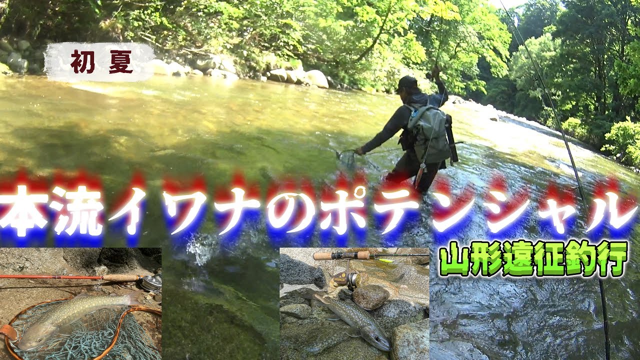 本流イワナのポテンシャル【後半.尺イワナ連発‼】