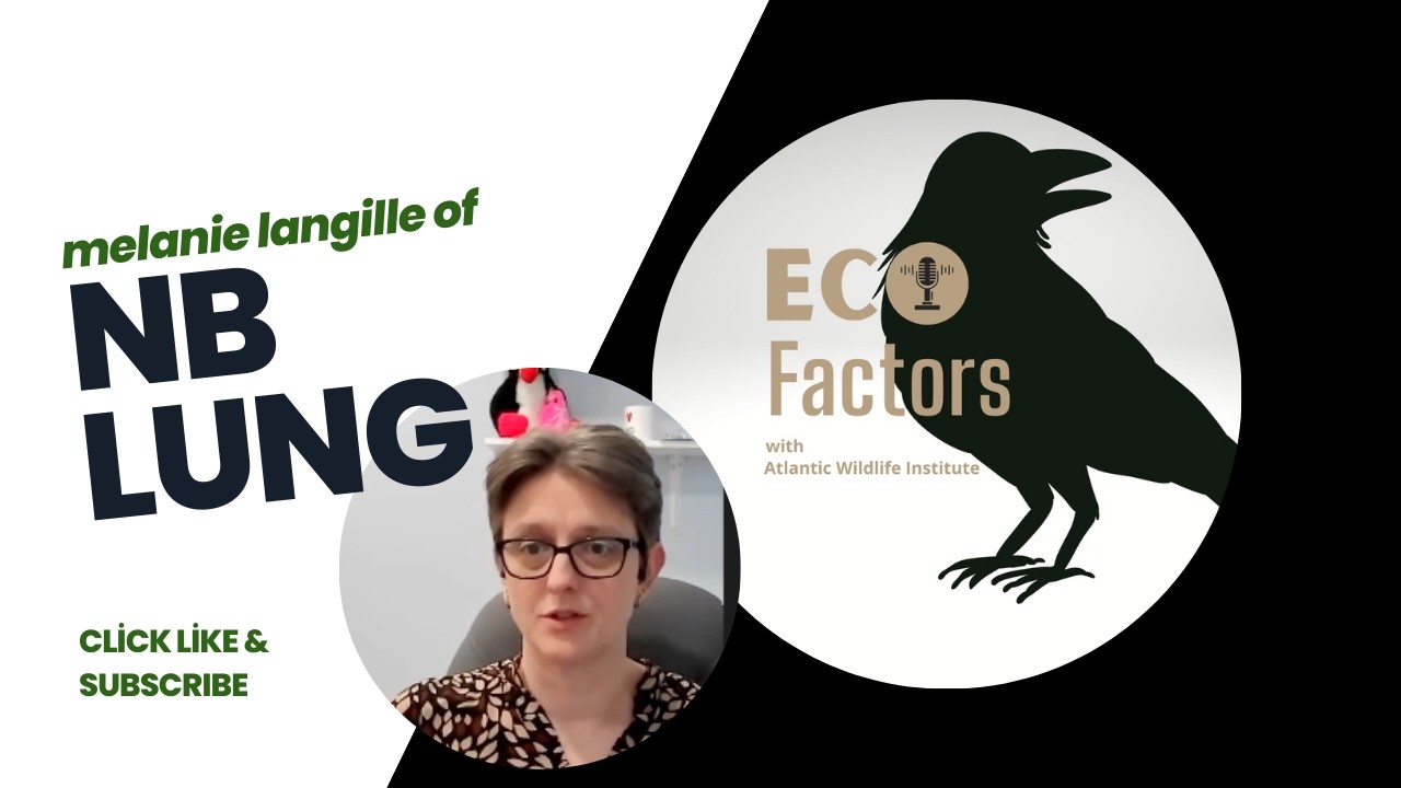 Ecofactors - EP2 - Melanie Langille, NB Lung
