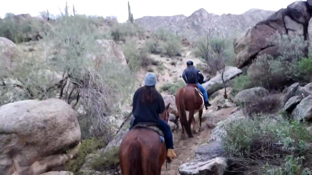 U.S./Arizona Desert on Horseback