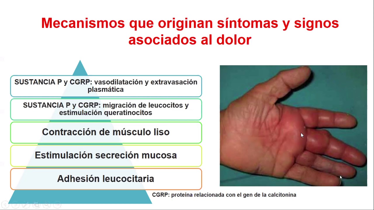 FISIOPATOLOGÍA - Semana 1 - Dolor y Fiebre
