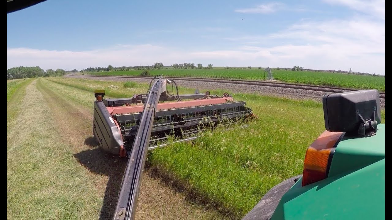 Swathing Hay 2019