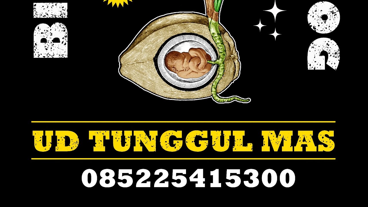 KELAPA GENJAH ENTOG BERSERTIFIKAT UD TUNGGUL MAS