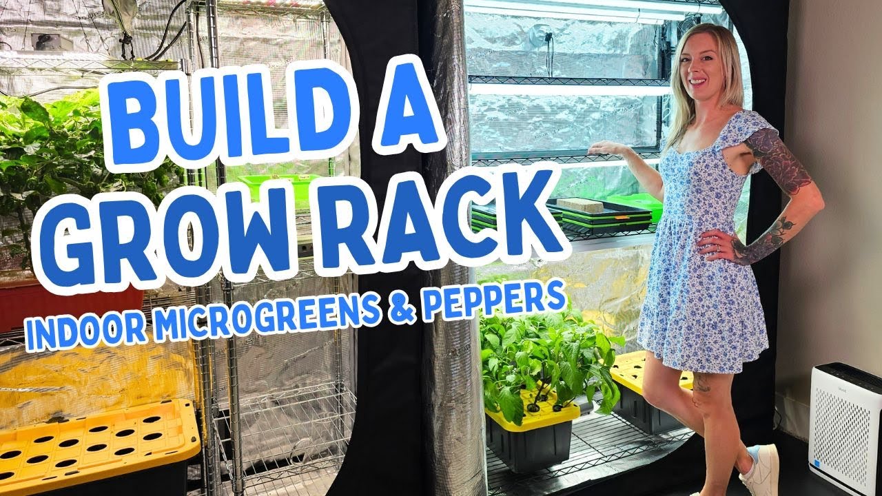 Indoor Grow Rack Setup &mdash; Microgreens + DWC Peppers in One Grow Tent!