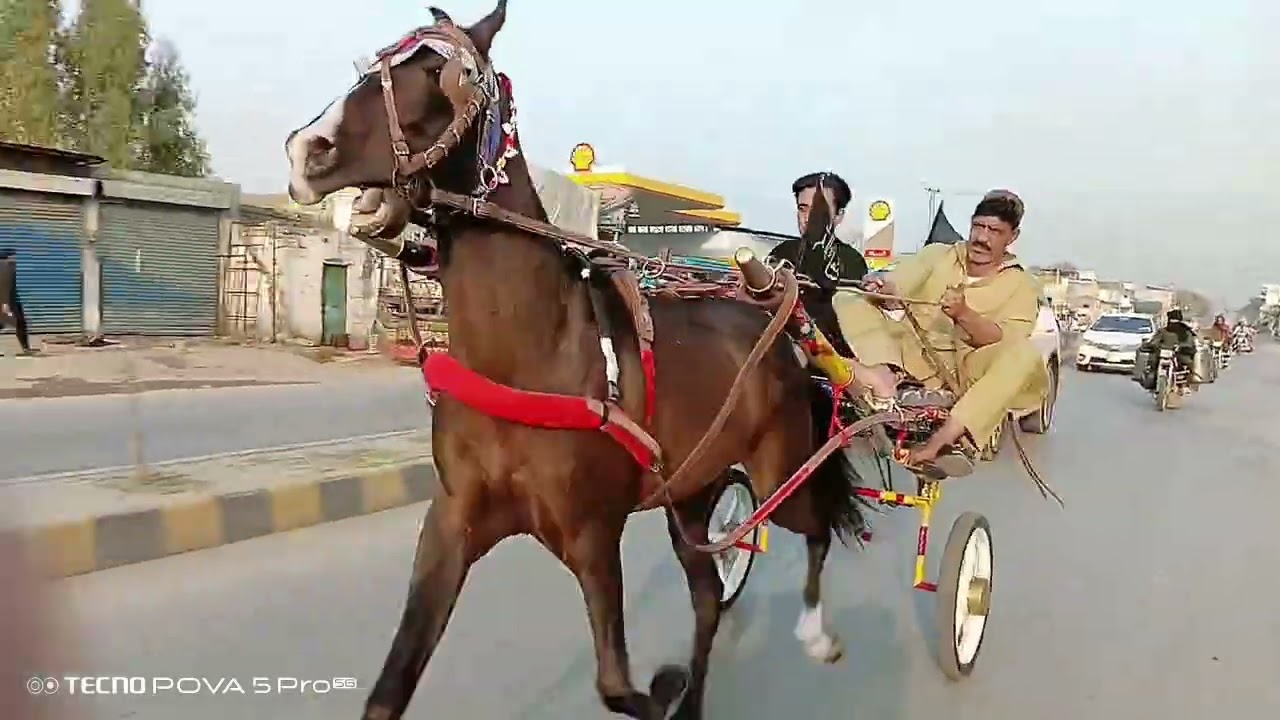 King iftikhar ustad 👑
