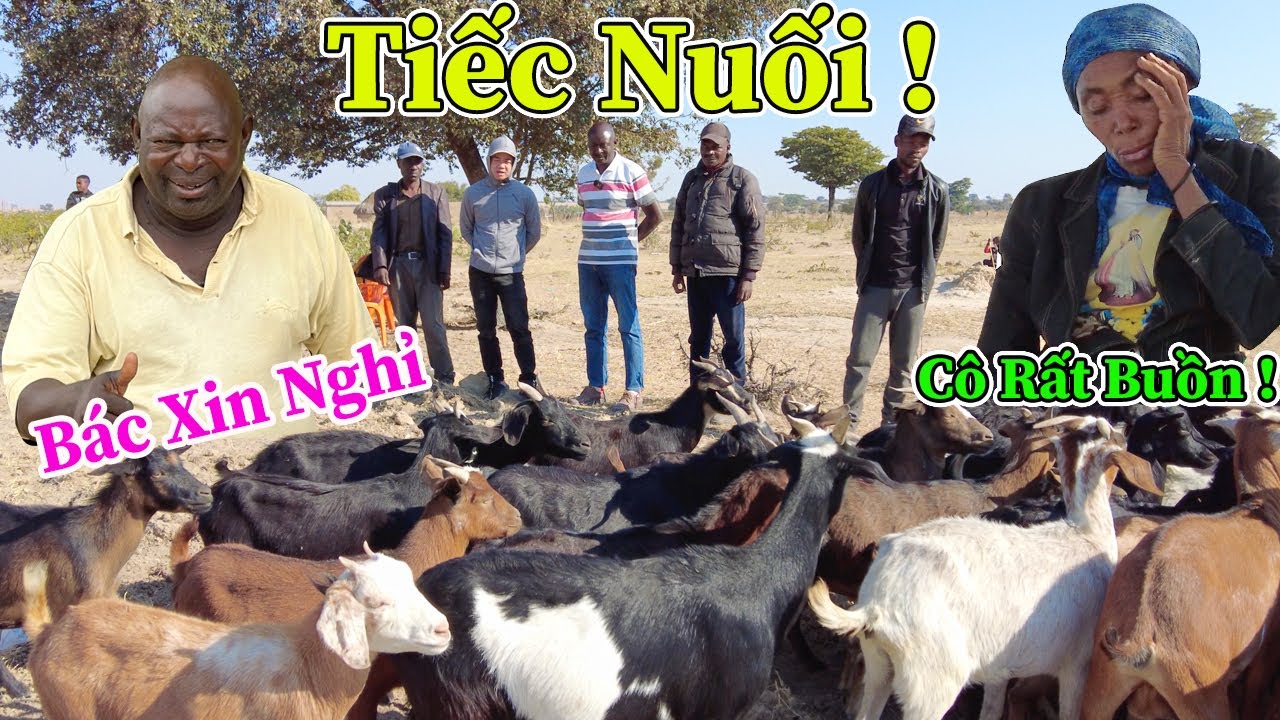 Công Giáp || Tiếc Nuối Khi Phải Nói Lời Chia Tay Chuyên Gia Chăn Nuôi Hàng Đầu ! Vì Lý Do Gì ???