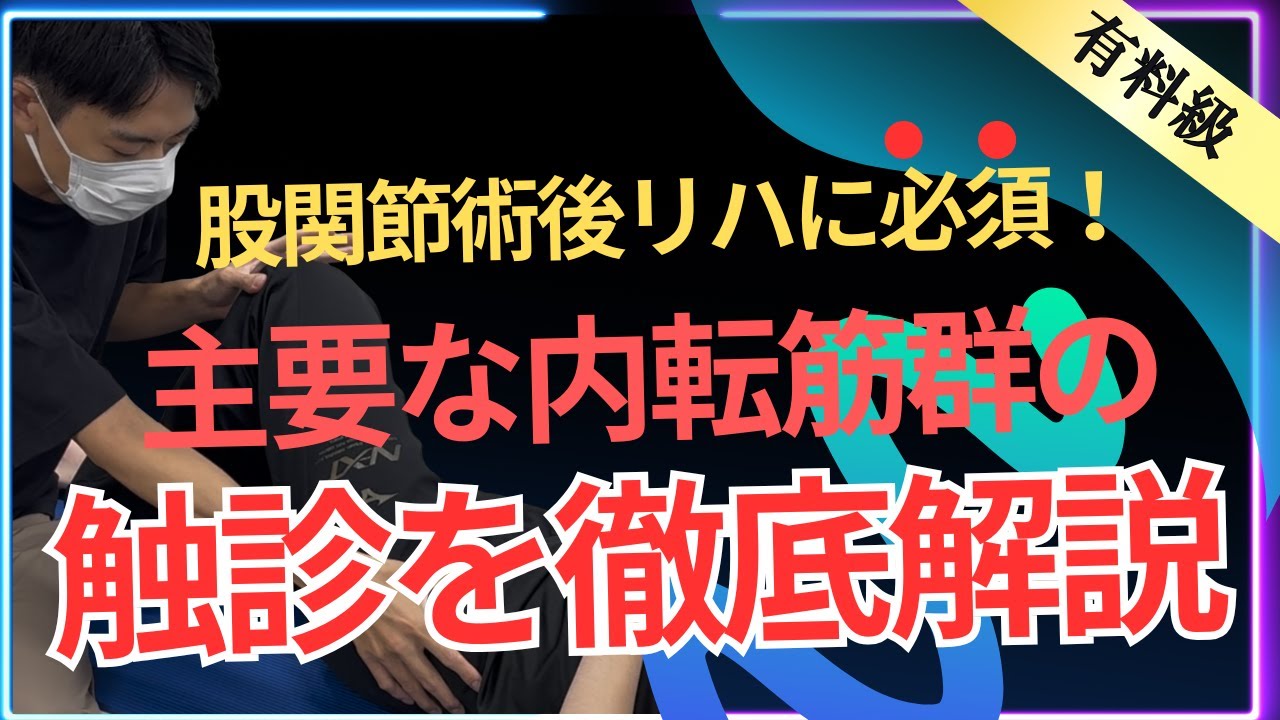 股関節術後リハに必須！主要な内転筋群の触診＆鑑別テクニックを徹底解説