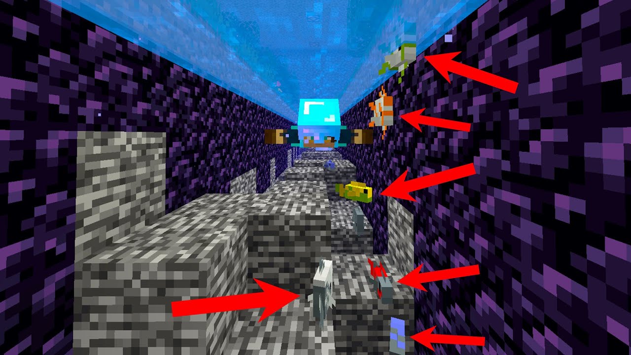 Diepste vissenkom ooit maken in Minecraft (BEDROCK)