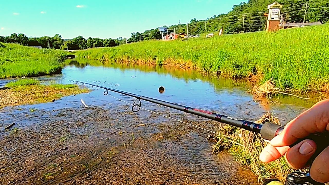 Whopper Plopper urban Creek Fishing ON FIRE!!!