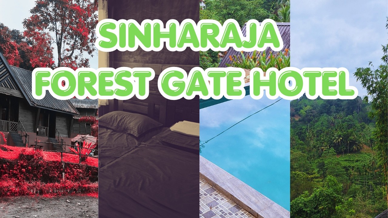 2 Minute Hotel Review | Sinharaja Forest Gate Hotel Experience #travelinza #sinharaja #hotel