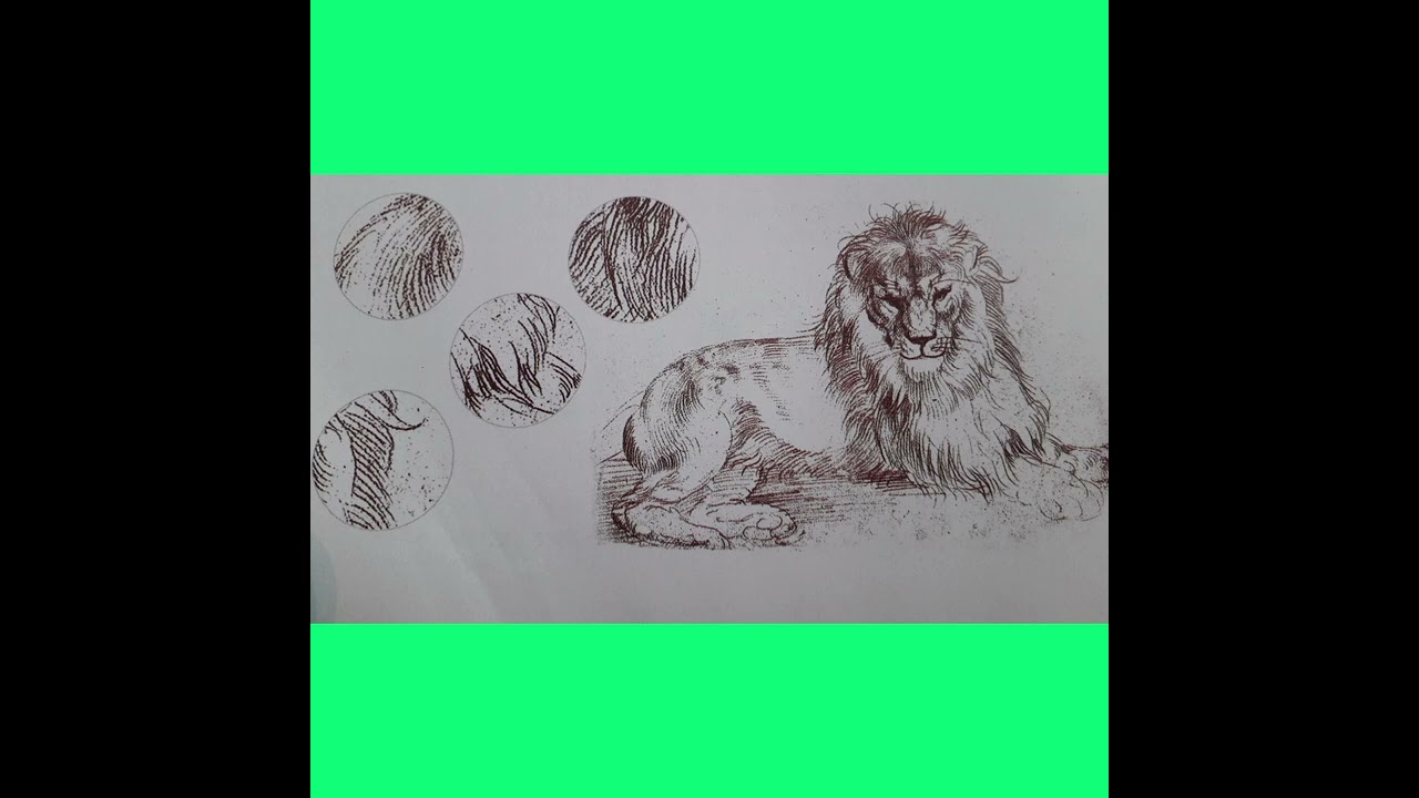 Світ тварин у мистецтві.