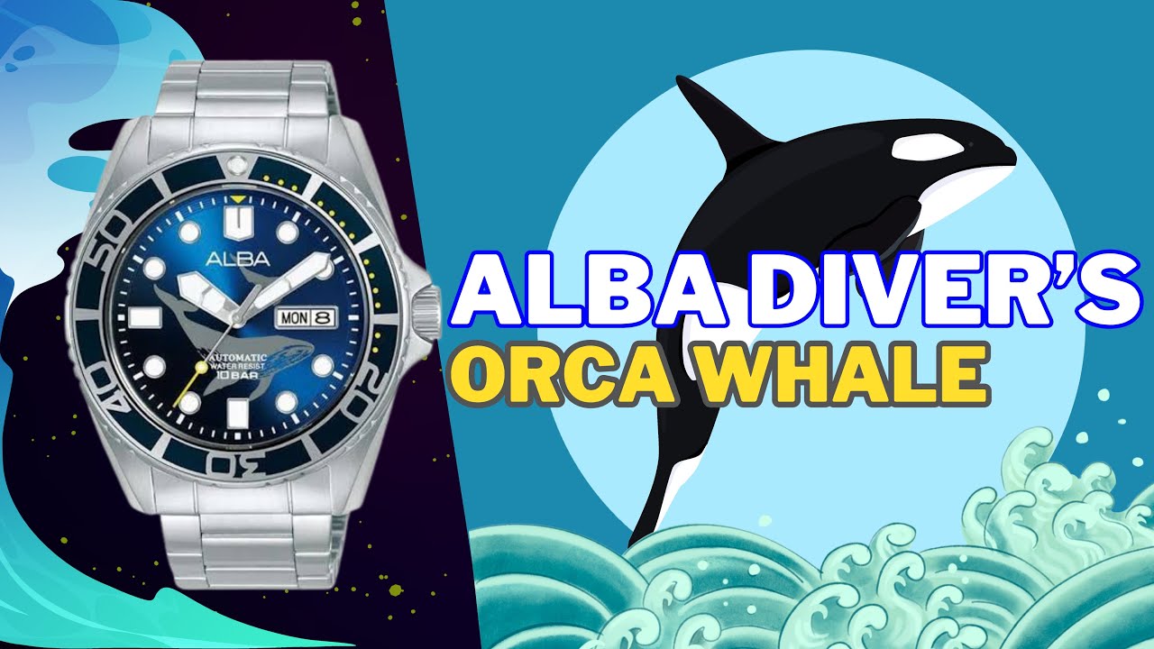 ALBA WATCHES AUTOMATIC HARGA TERJAKAU MIRIP SEIKO SUMO PROSPEX