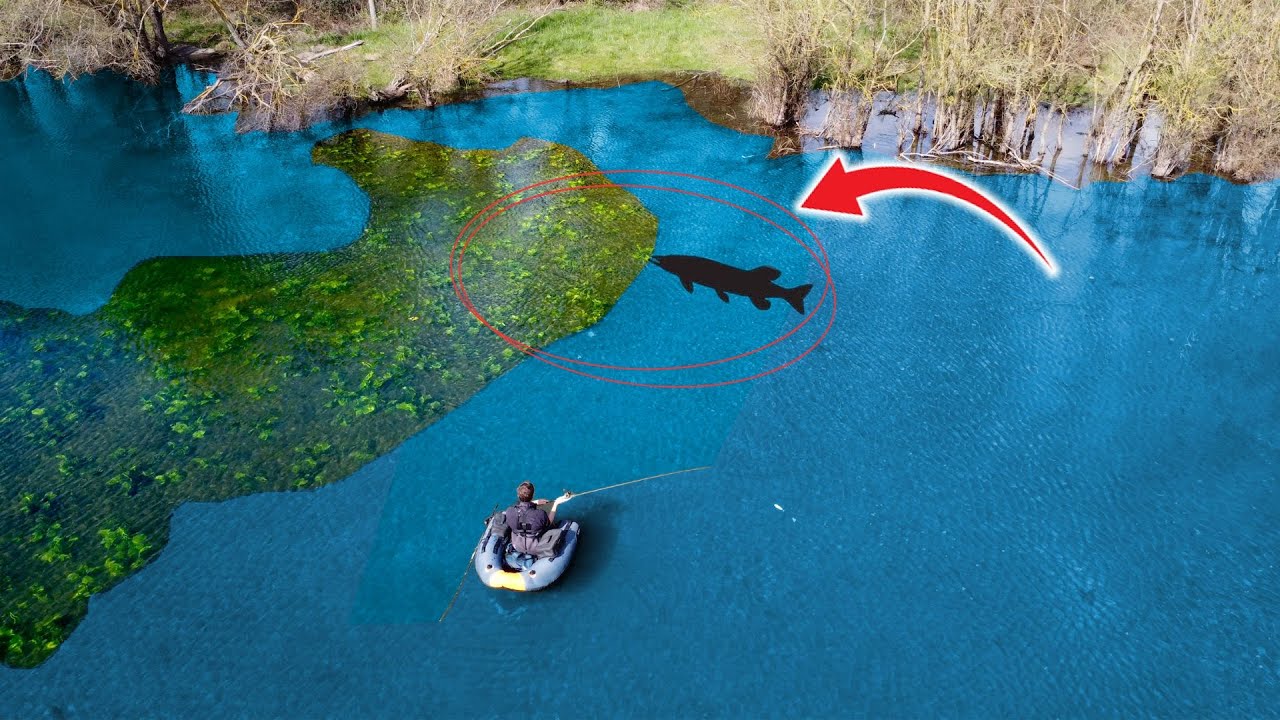 Beau BROCHET dans les nénuphars !! [ouverture 2K23]