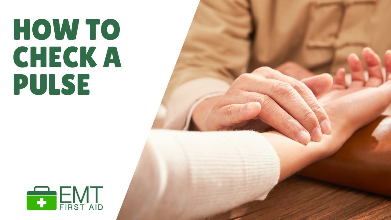 How to check a pulse |  Adult First Aid  | EMT First Aid Training |