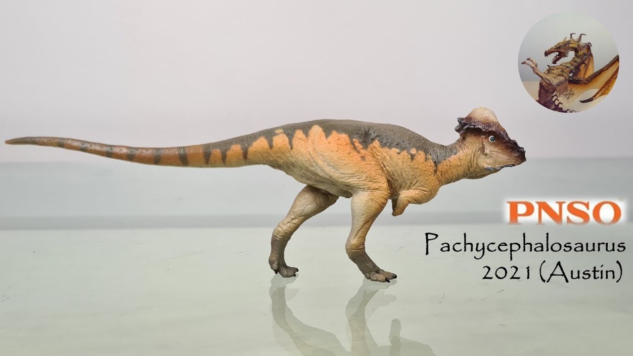 118: Обзор PNSO Pachycephalosaurus 2021 (Остин)