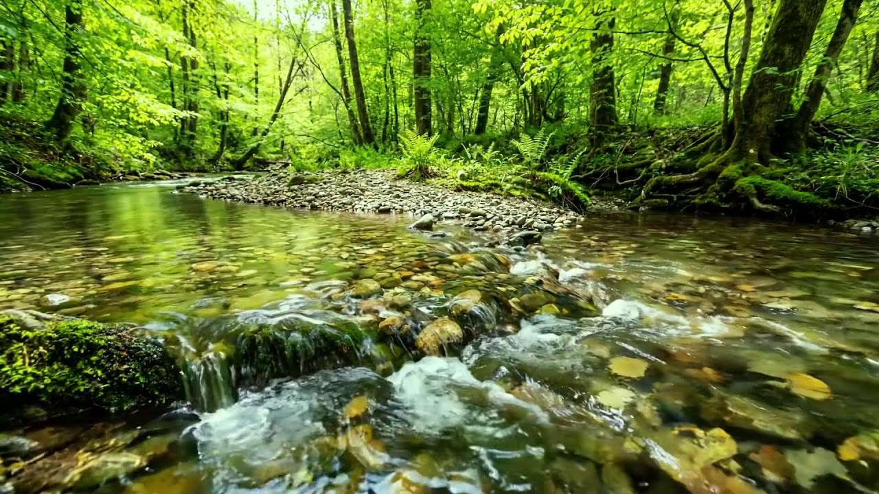 Relaxing Nature Sounds, Gentle Stream Flow and Birds Singing, Calming Ambience for Deep Sleep
