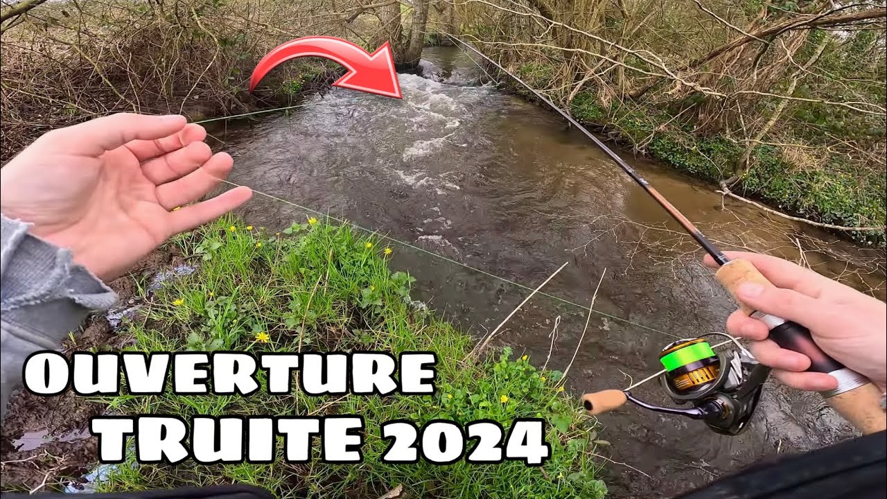 OUVERTURE TRUITE 2024 : De belles surprises dans cette petite rivière sauvage !
