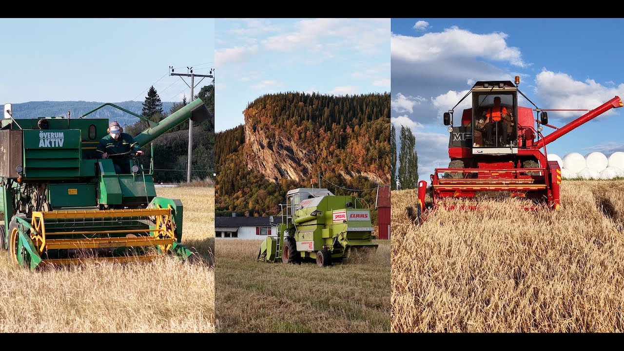 Classic Harvesters in Norway | Claas | Massey Ferguson | Överum