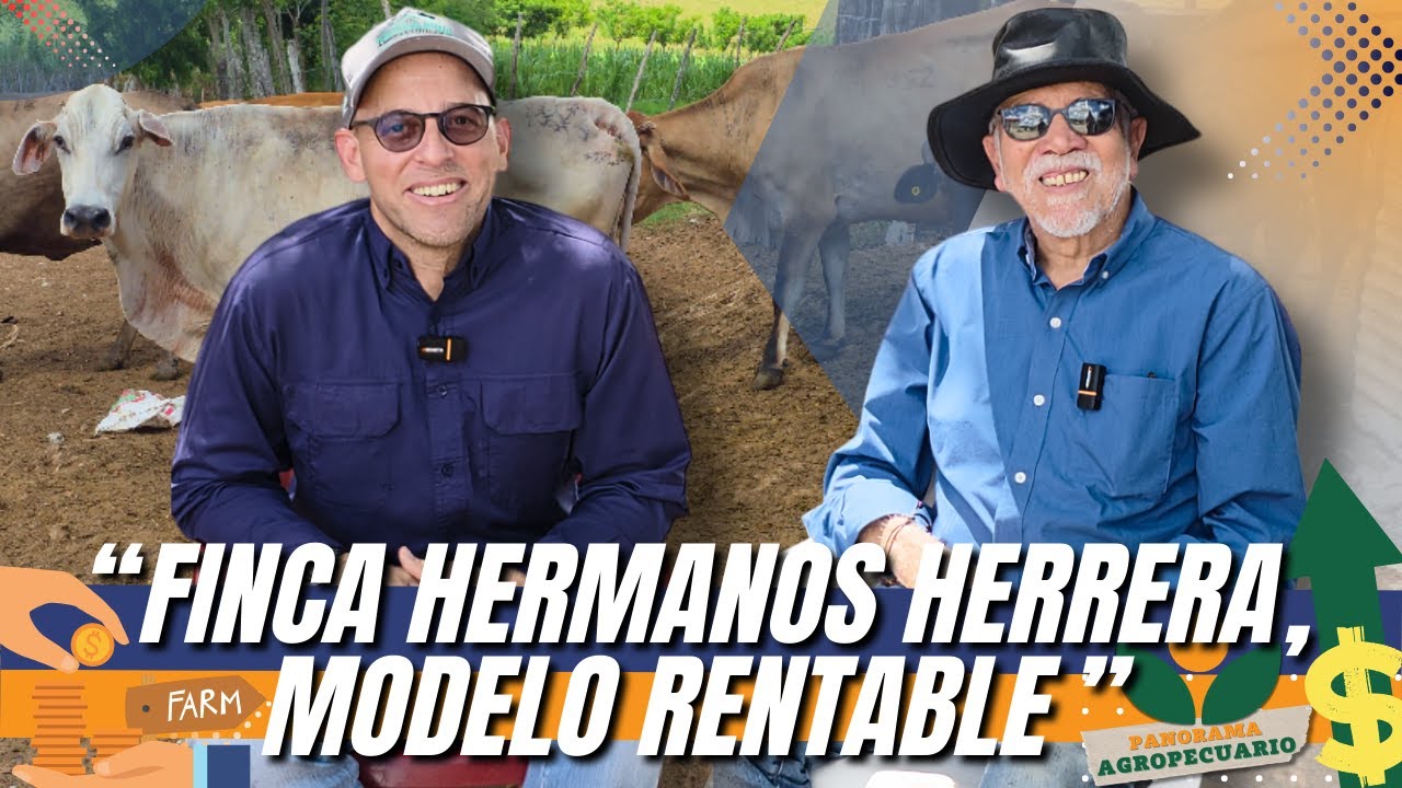 TRES TETAS ES RENTABLE | Panorama Agropecuario