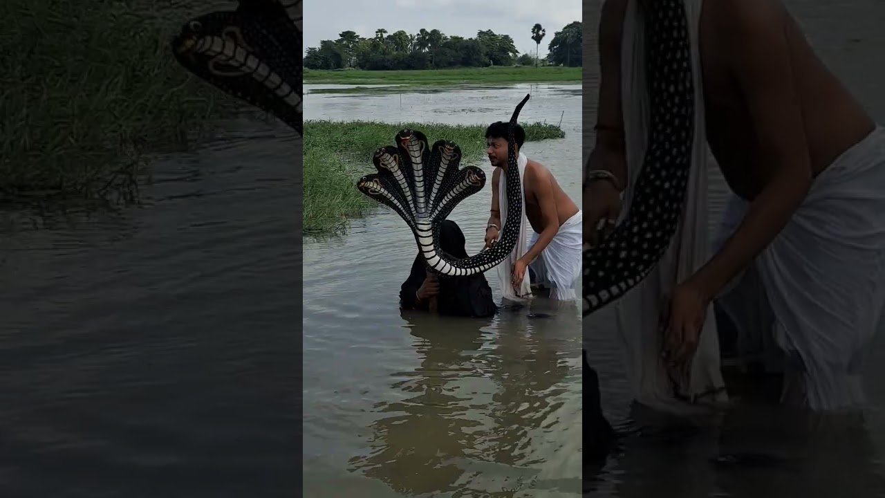 Janmashtami shooting video #krishna