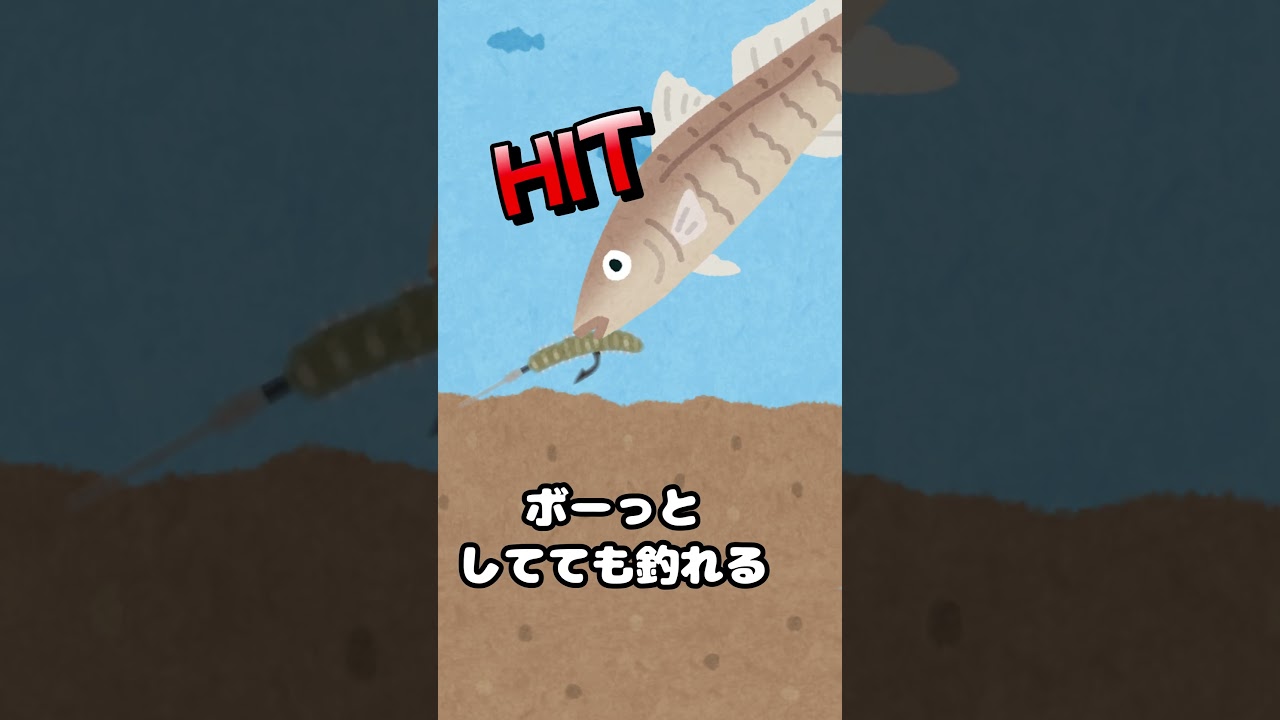 海釣り　ツマミ