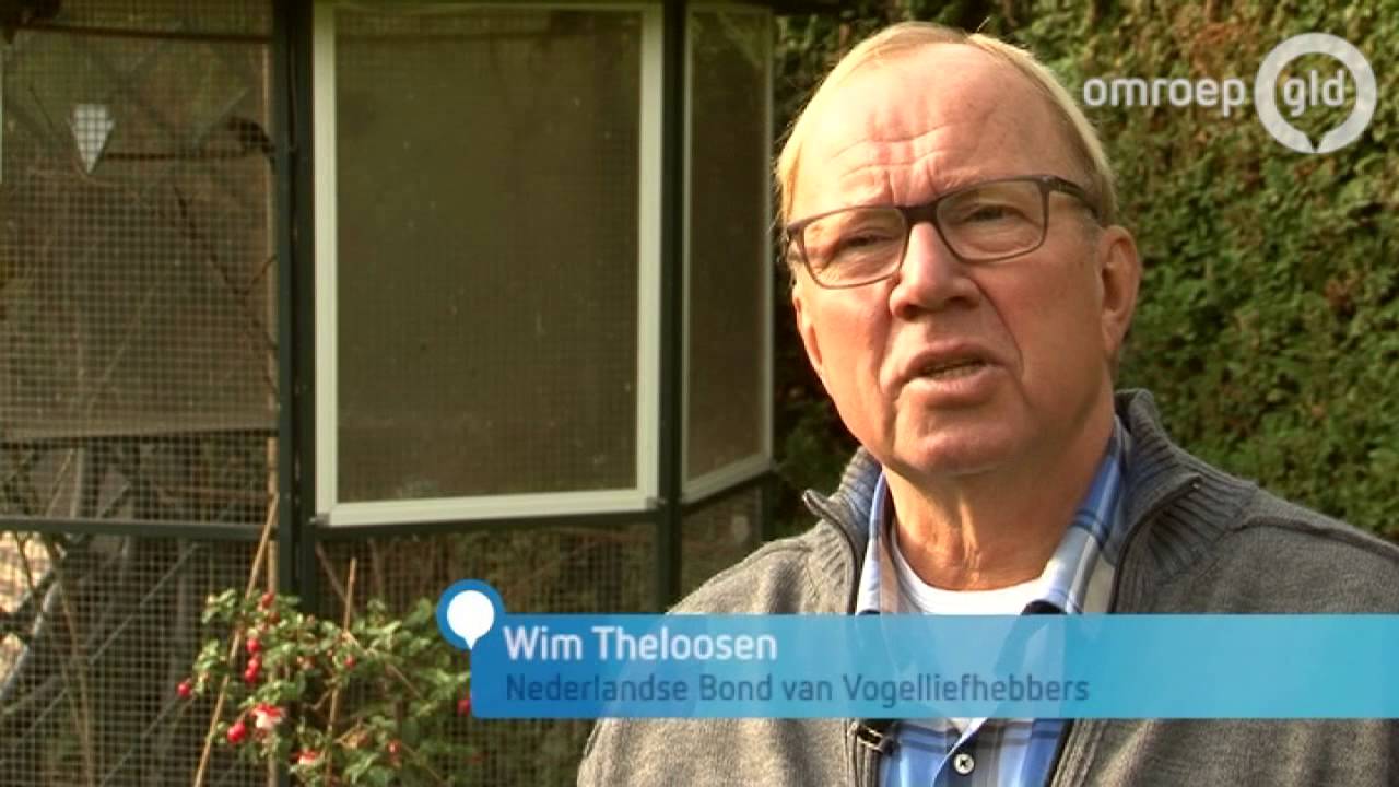 'Gebroken' na diefstal vogels