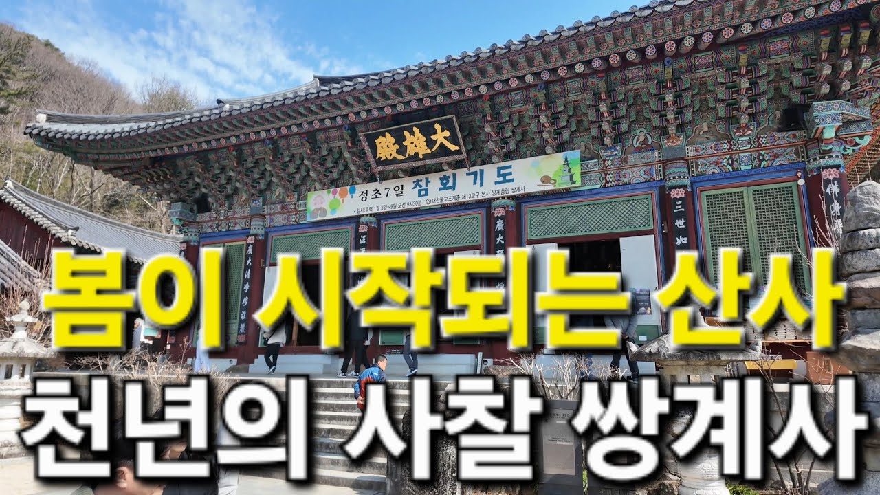 하동 쌍계사 봄 산사 여행 🌸 고요한 천년사찰 힐링 산책 | 한국 사찰 여행