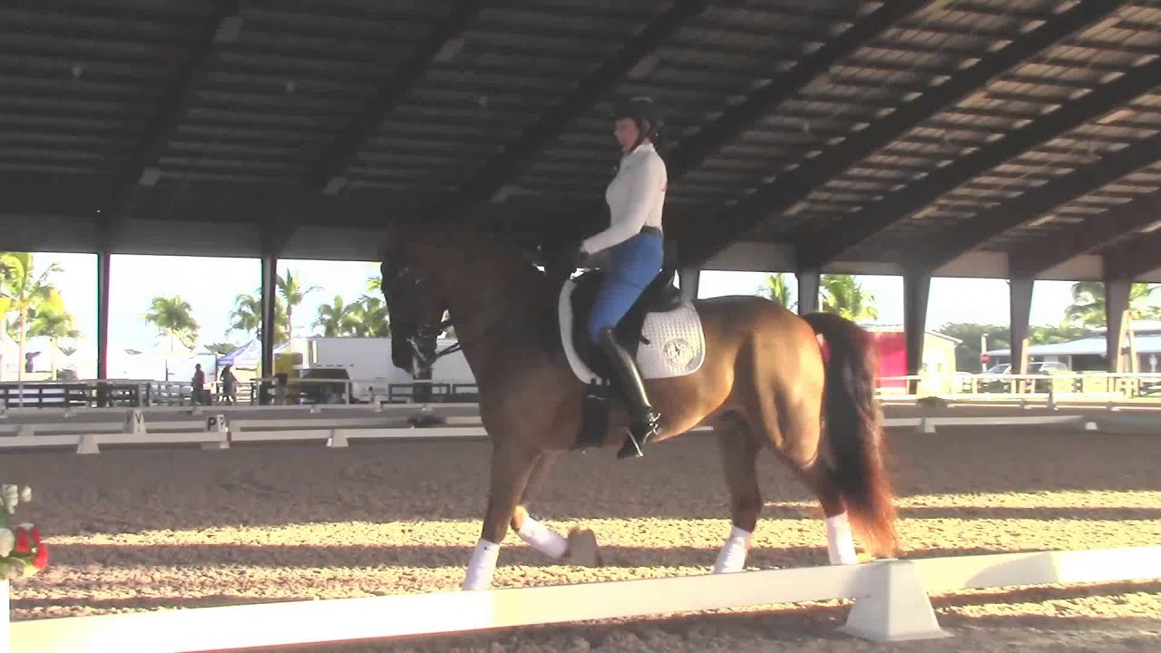 Robert Dover: Riding For Expression in the Gaits of the Dressage Horse
