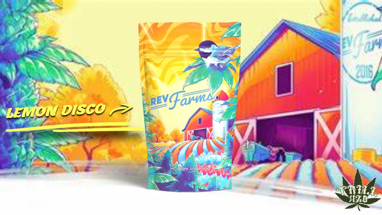 Lemon Disco: Rev Farms Review