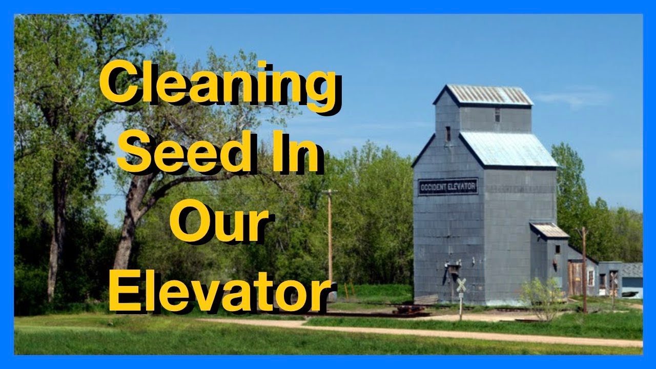 We Bought a Grain Elevator | Cleaning Wheat Seed