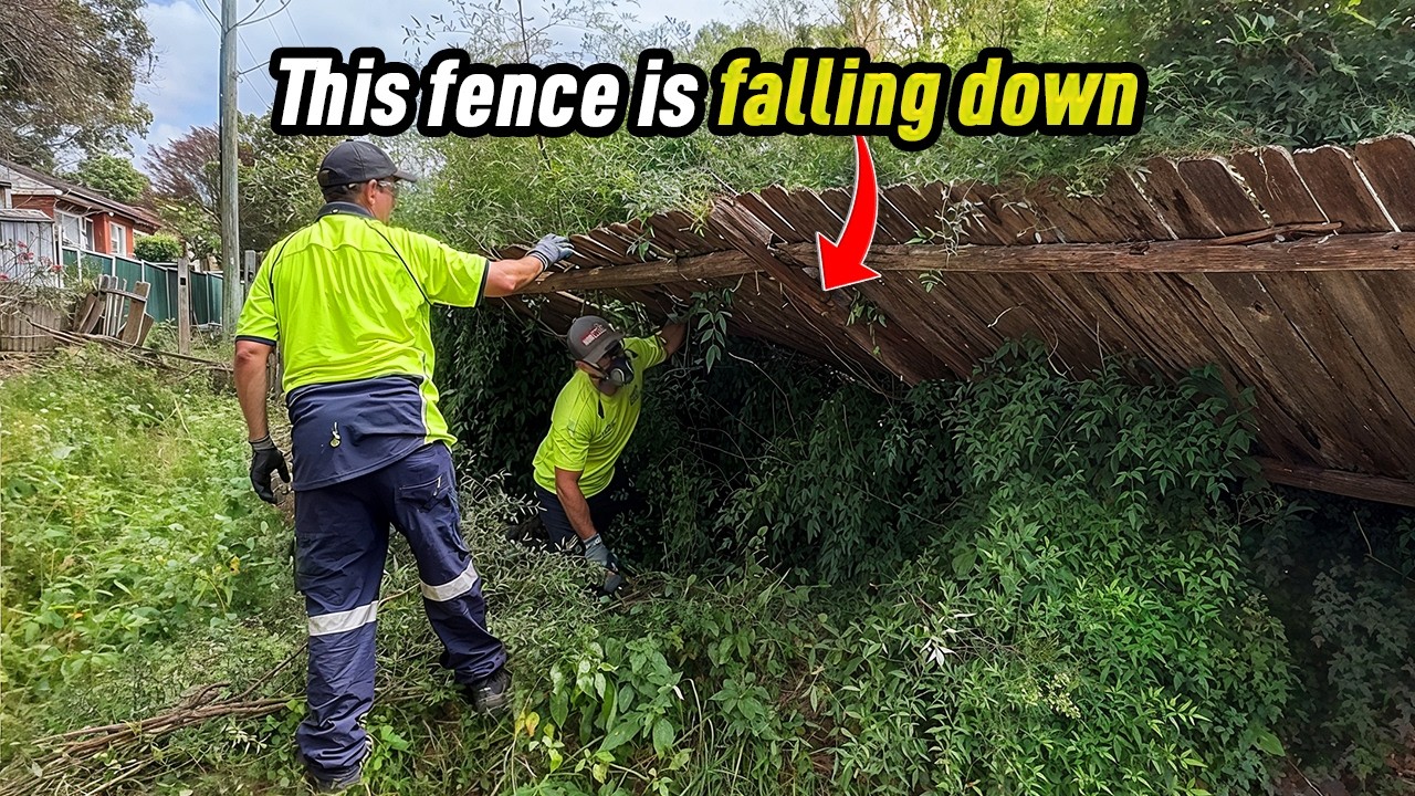 This Yard Was Hiding Something… and I Wasn’t Ready for It